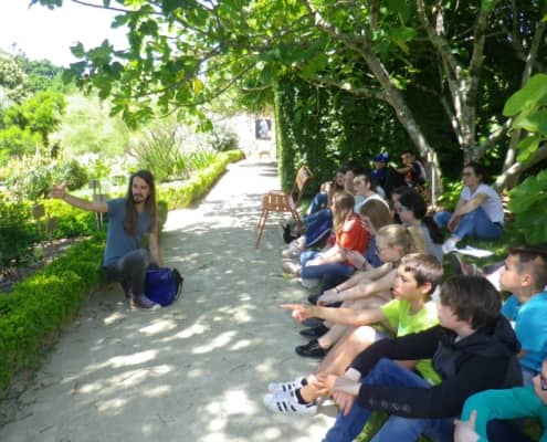 Sortie de fin d’année culturelle pour les cinquièmes à l’abbaye de Daoulas