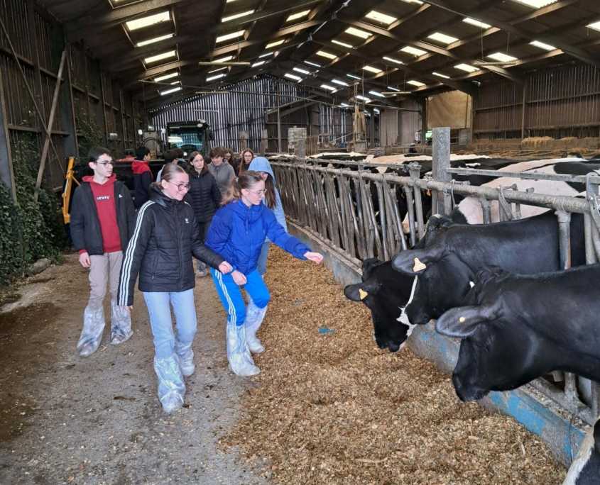 Journee Reflexion Orientation Quatriemes 09