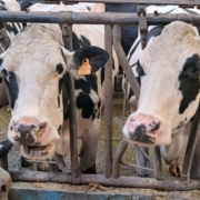 Journee Reflexion Orientation Quatriemes 10