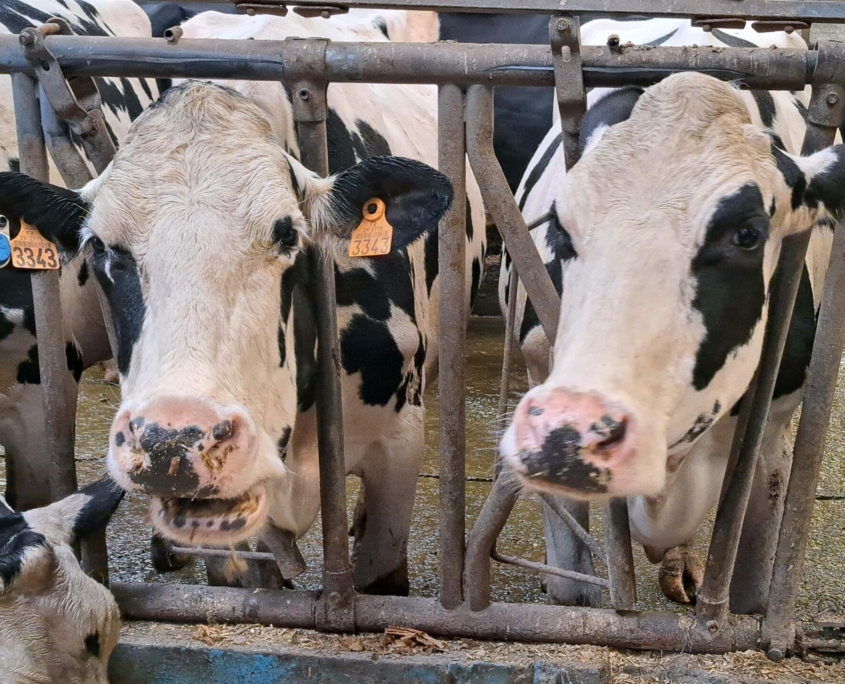 Journee Reflexion Orientation Quatriemes 10