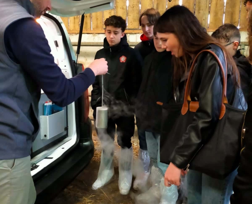 Journee Reflexion Orientation Quatriemes 13