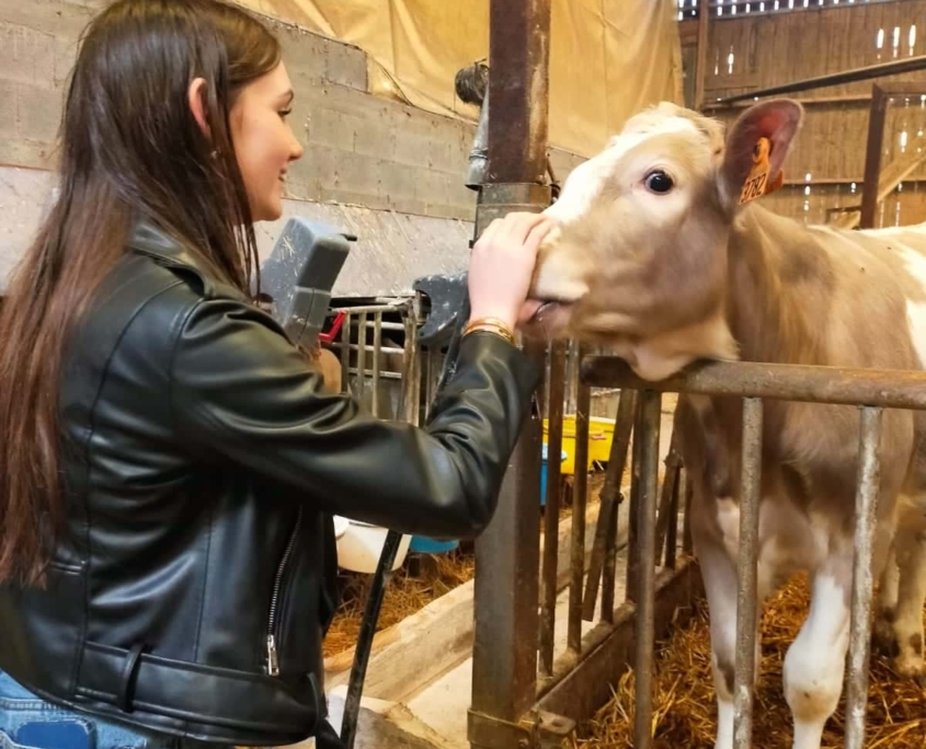 Journee Reflexion Orientation Quatriemes 15