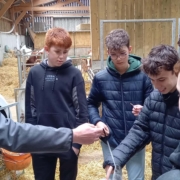 Journee Reflexion Orientation Quatriemes 16