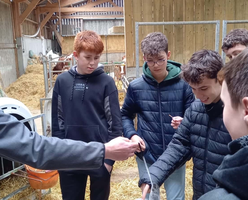 Journee Reflexion Orientation Quatriemes 16