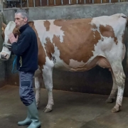 Journee Reflexion Orientation Quatriemes 17