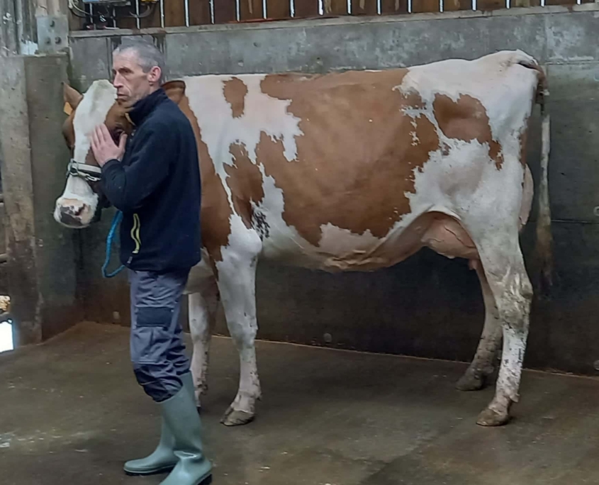 Journee Reflexion Orientation Quatriemes 17