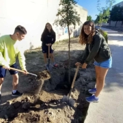 Sejour Andalousie Developpement Durable 10